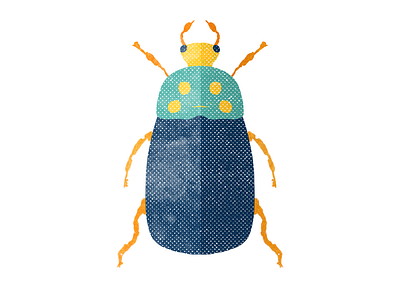 Beetle