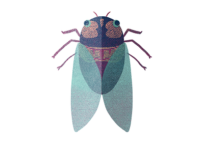 Cicada