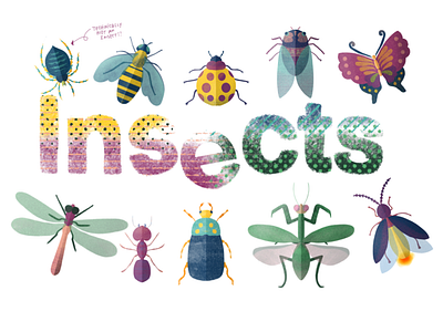 Insects