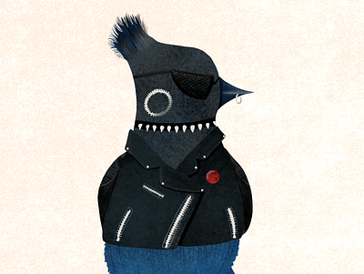 Punk Steller Jay bird punk