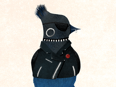 Punk Steller Jay