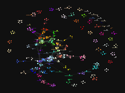 Network of X11 Colours