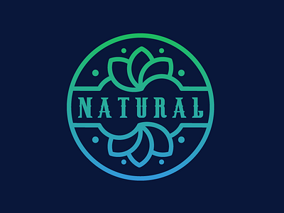 Natural Logo Template abstract flower beauty colorfull logo concept logo. design natural nature spa