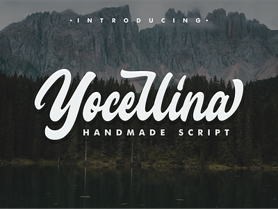 Yocellina Font beauty branding company concept design font font awesome font bundle font design illustration lettering logo logotype typography vector