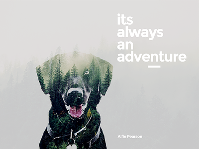 It's Always an Adventure adventure alfie black brecon beacons design double exposure graphics illustrator labrador poster typography wales
