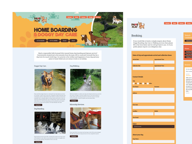 Paws and Play Cornwall - Home Boarding and Doggy Day Care design branding website boarding care day doggy cornwall play paws