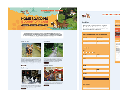 Paws and Play Cornwall - Home Boarding and Doggy Day Care boarding branding care cornwall day design doggy paws play website