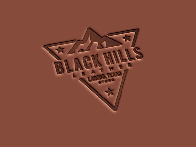 Black Hills Company Logo 2