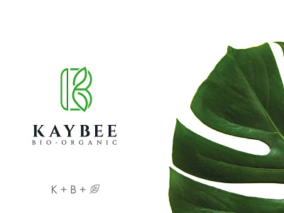 KB logo branding corporate logo design flat flat logo illustration illustrator kb logo logo minimal vector