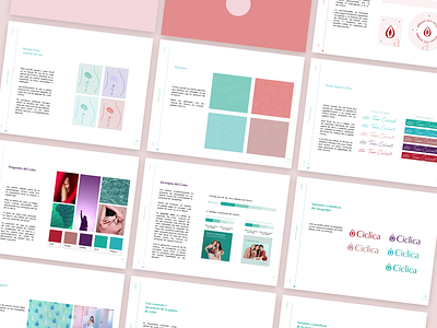 Cíclica | Brand Book brand brandbook branding design graphic design illustration logo menstrualcup menstruation period rebranding sustainable women