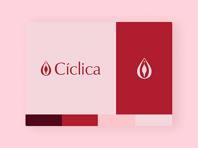 Cíclica | Rebrading brand brandbook branding design graphic design illustration logo menstrualcup menstruation rebranding sustainable women