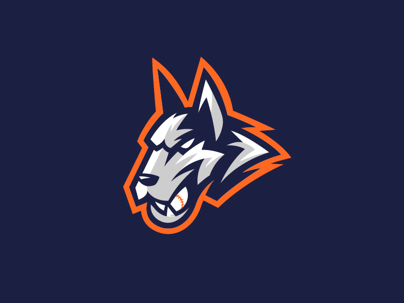 Dog with baseball by Diego Messori on Dribbble