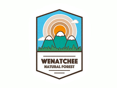 Wenatchee Natural Forest Logo Concept branding graphic design logo design thirty logos