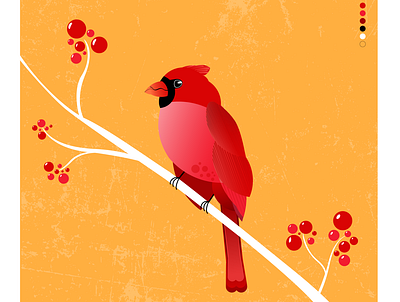 The Red Cardinal adobe illustrator bird birds illustration illustrator nature red vector