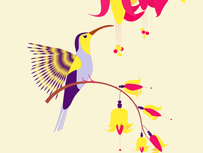 The Humming Bird adobe illustrator birds colour colourful graphic design humming bird illustration nature vector