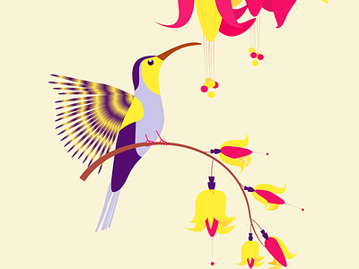 The Humming Bird adobe illustrator birds colour colourful graphic design humming bird illustration nature vector