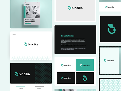 Branding for Bincika