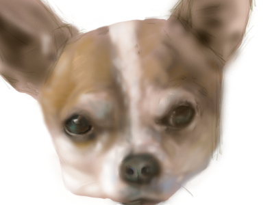 Chihuahua dog drawing painting photoshop sketching