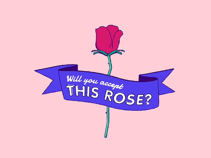 🌹 🌹 🌹 c4d sketch and toon cel animation roses dating love flower cinema4d 3d rose bachelorette bachelor