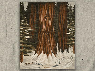 Q for Sequoia illustration national park nature retro texture trees vintage