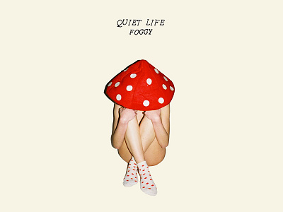 Quiet Life Foggy Artwork album album artwork cd lp music quiet life