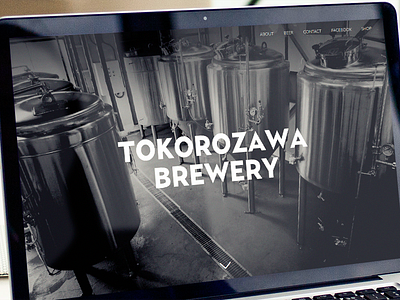 Tokorozawa Brewery beer branding brewery brewing craft beer web design