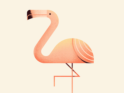 Come on, let's flaminGO - Day #172 animal bird cute flamingo flamingos illustraion pink texture tropical