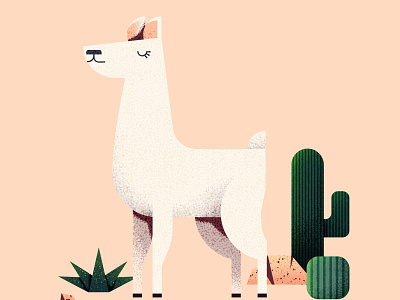 Pink Llama designs, themes, templates and downloadable graphic elements on  Dribbble