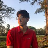 Nicolas Mansilla Torres