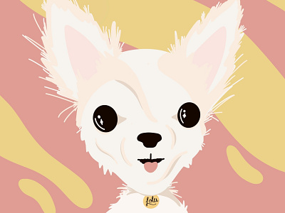 Lola the Dog dog dog portrait drawing hand drawn illustration illustrator ipad pro pet portrait procreate