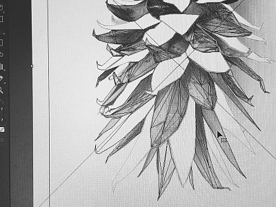Something Old → Something New (Stage 1) create design illustration illustrator pineapple print screen
