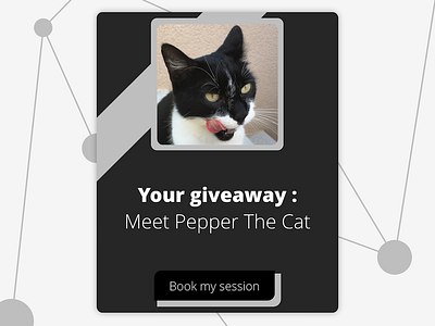 #DailyUI 97 - Giveaway 97 cat dailyui gift giveaway meeting