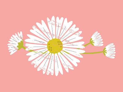 Bloom 3 abstract cartoon daisy design floral flower illustration illustrator natural elements paint texture vector