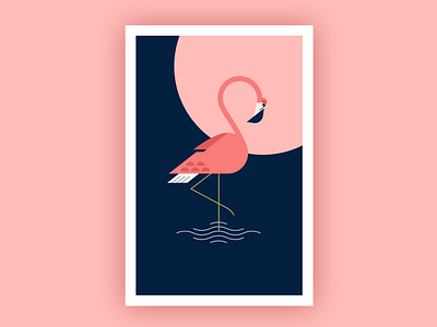 Flamingo bird illustration flamingo illustration