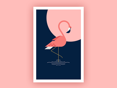 Flamingo