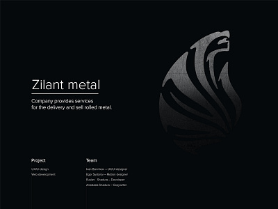 Zilant Metal Case case ui ux web