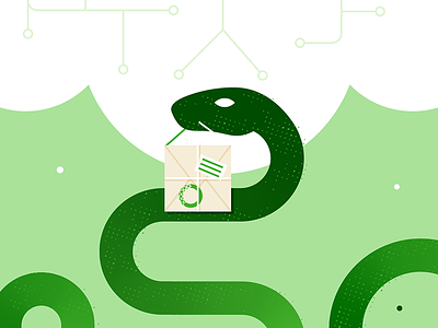 Anaconda in Green anaconda cloud coding computer flat green illustration minimalist package programming snake
