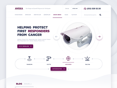 Security Systems Company / Home Page Design
