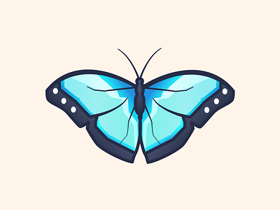 Blue butterfly