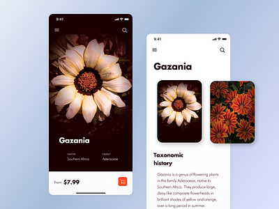 R+R : Flower Delivery app mobile product ui ux