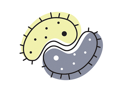 Bacteria equilibrium bacteria brand branding design eat food guts icon illustration illustrator ui web deisgn