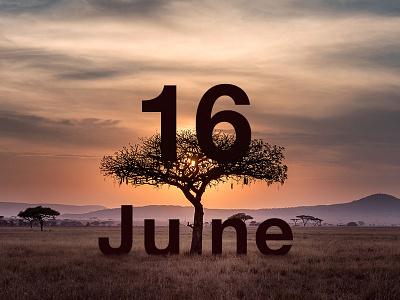 June 16 16 16th africa date datetypography jun june number sixteen sixteenth typography