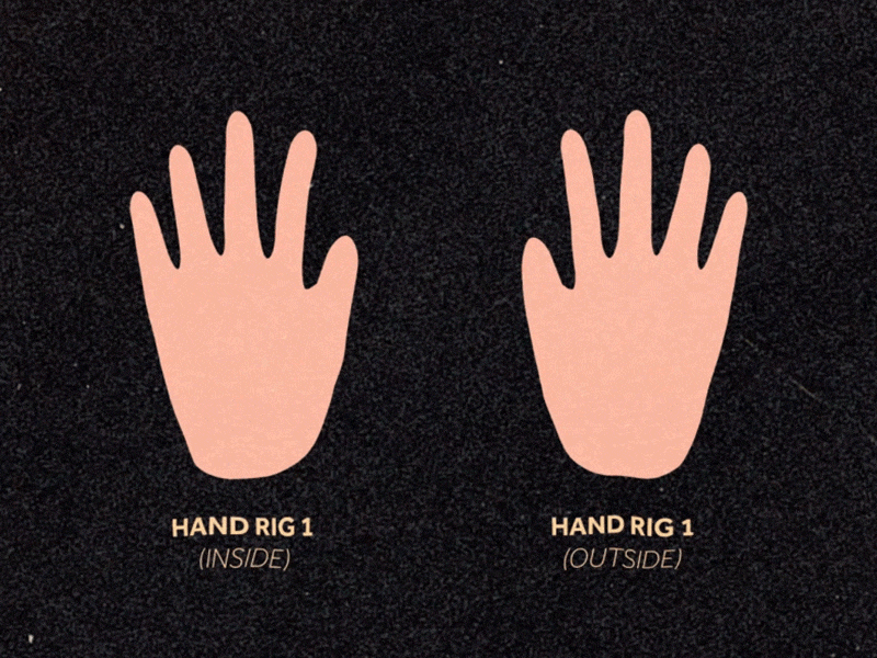 Hand Rig 1