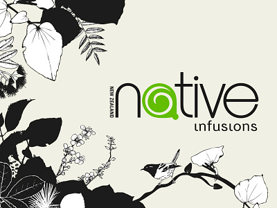 Native Infusions // Branding bird brand identity branding icon illustration illustrator logo nature vector