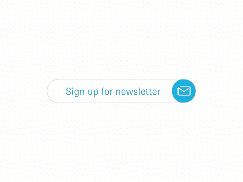 Newsletter Sign Up Interaction design e commerce interaction interface micro interaction newsletter sign up web application