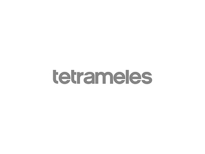 Tetrameles Logotype brand brand design branding design flat identity logo logo design logotype minimal