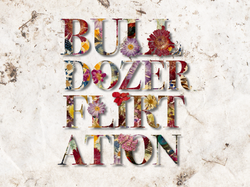 Bulldozer Flirtation design floral bodini typography