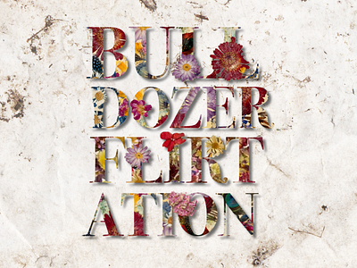 Bulldozer Flirtation bodini design floral typography