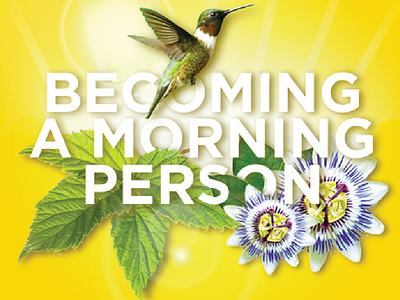 Life Seasons adobe advertising bird flowers graphic design photoshop typography