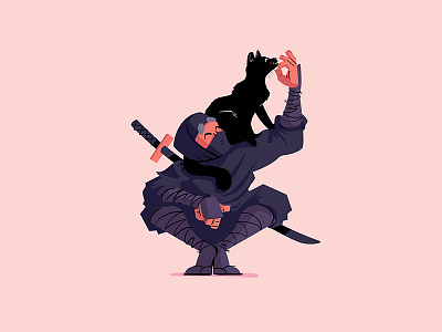 Ninja Kitty